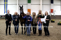 Sunday Mares 4 to 10 years