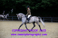 BNC Novice Ridden Geldings