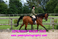 RIDDEN Restricted