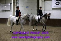 Dressage Awards