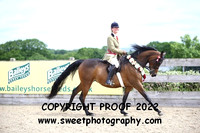 RIDDEN Novice Championship