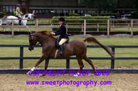 BNC Open Ridden Geldings