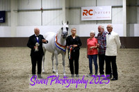 Saturday Evening BNC Sr Geldings