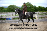 RIDDEN Novice Arab Stallion