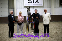 Saturday Evening BNC Jr Geldings