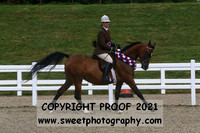 Pure Novice Championship