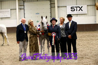 Sunday In-Hand  BNC Veteran Championship