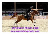 MOUNTED GAMES Race 5