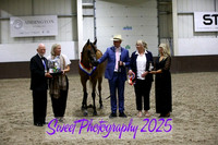 Saturday Evening BNC Sr Female Championship