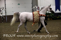 Sunday Championship Sr Female