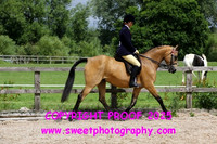 RIDDEN Anglo PBA over 148cm