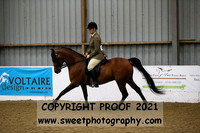 RIDDEN HOYS Stallions