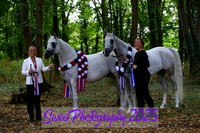 Sunday Supreme Championship of the Show