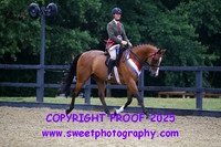 BNC Anglo Arab Ridden Class & Championship
