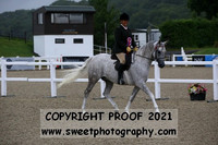 Pure Novice Geldings