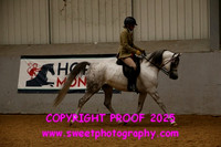 RIDDEN HOYS Mares