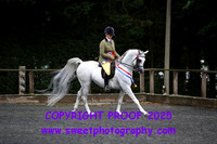 Young Rider Championship