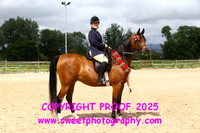 RIDDEN HOYS Champiosnhip