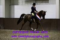 BNC Open Ridden Championship