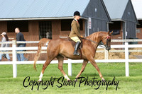 Friday Ring 2 Ridden