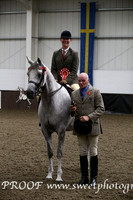 Friday HOYS Ridden Mares