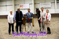 Sunday In-Hand ECAHO Mare w/foal and Foal Championship