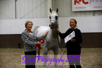 Sunday In-Hand ECAHO Geldings 4-7 yrs
