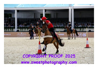 MOUNTED GAMES Race 2
