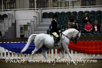 Sunday Ridden Stallions