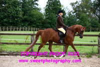 RIDDEN Novice Mares