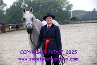 Saturday In-Hand BNC Geldings Veterans