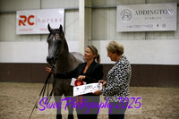 Sunday In-Hand ECAHO Geldings 1-3 yrs