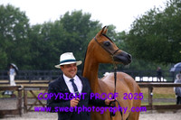 Saturday In-Hand BNC Fillies 2 yrs
