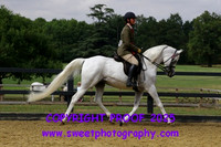 BNC Open Ridden Mares