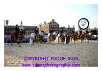 FRIDAY RIDDEN DISPLAY GROUP PRESENTATIONS
