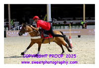 MOUNTED GAMES Race 8